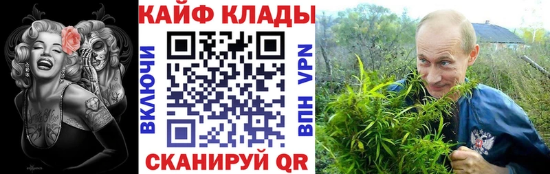 Что такое Северск Марихуана  Гашиш 